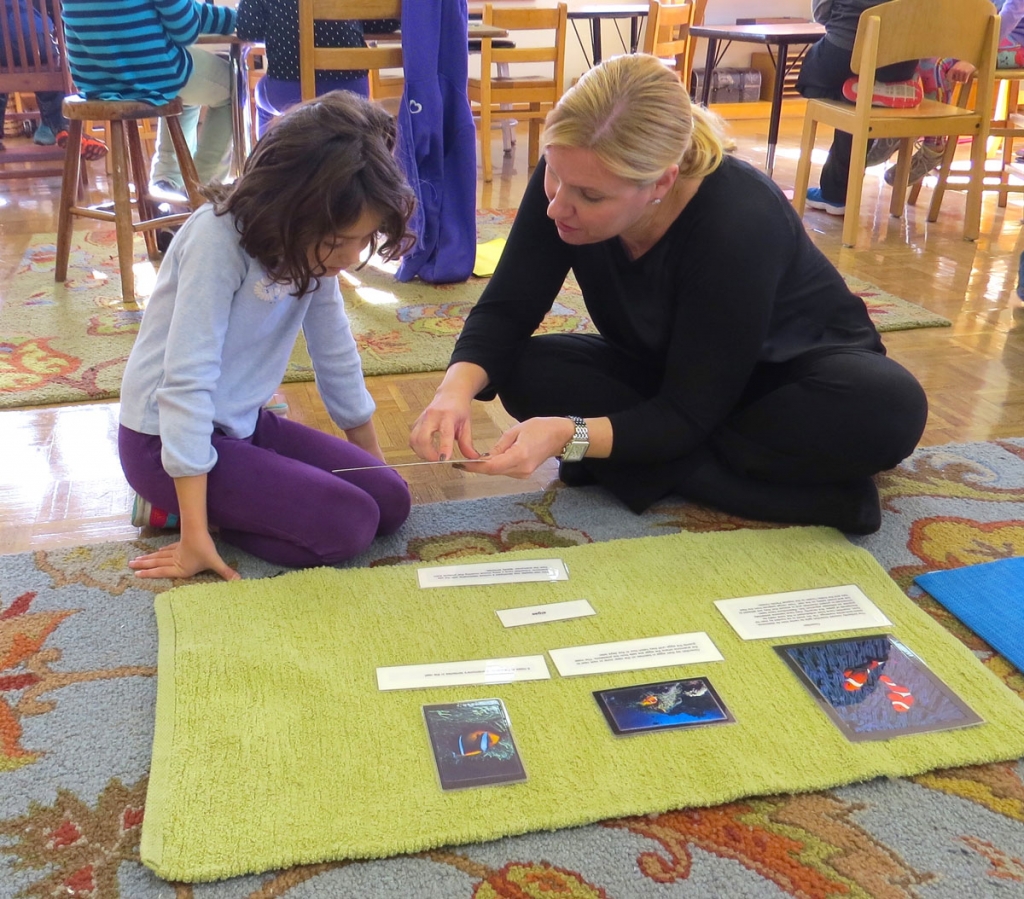 Mrs. Anderson works with a 2nd grader who is deepening her knowledge of the five classes of vertebrates. 