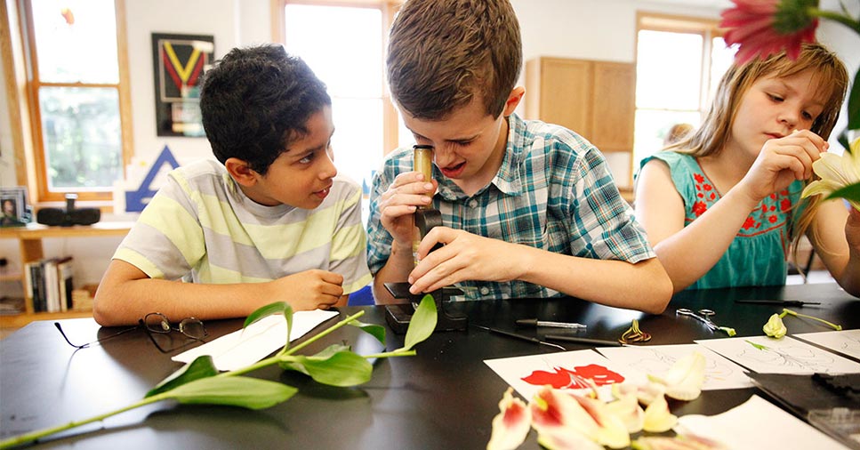 Why Do the Elementary Students Love Coming to School?