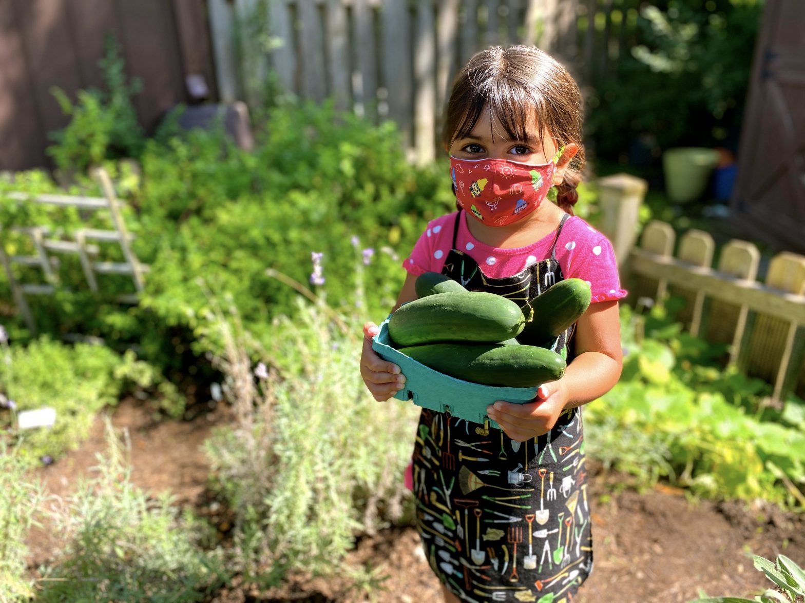 Planting the Seed of Wonder